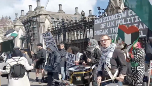 Palestine protest outside Parliament