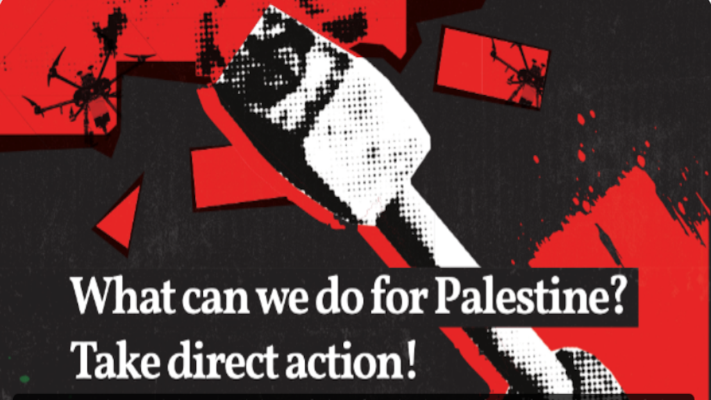 Direct Action Training Poster