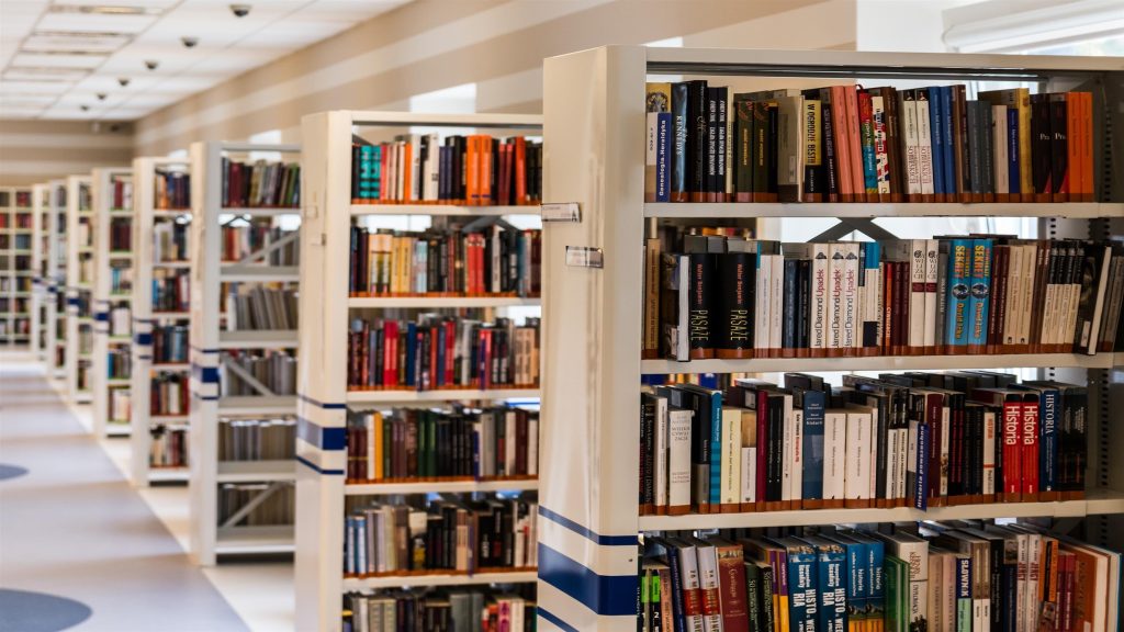 Library bookshelf